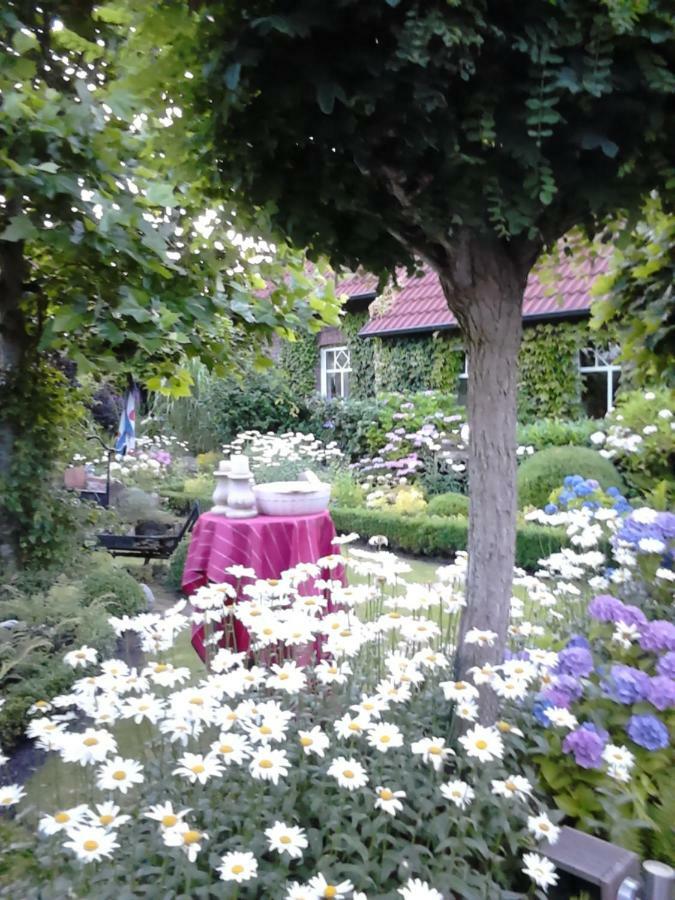 Ferienhaus Zaunkoenig Eversmeer Kültér fotó